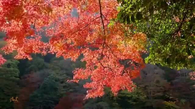 تصاویری از طبیعت پاییز رنگارنگ که حتما باید ببینید!