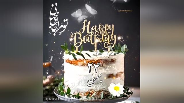 کلیپ استوری تبریک تولد 24 بهمن ماهیا || کلیپ شاد تبریک تولد