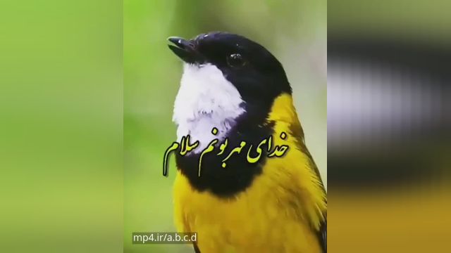 کلیپ جذاب صبحت بخیر || انرژی مثبت ||انگیزشی |