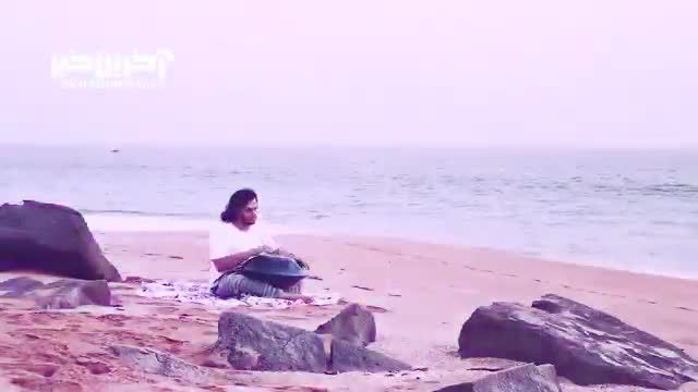 اجرای آرامش بخش "هنگ درام" کنار دریا توسط عرفان قوی قلب