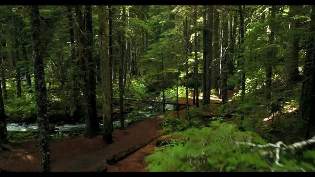 ویدیو طبیعت برای وضعیت واتساپ کوتاه 30 ثانیه ای | کلیپ آرامش