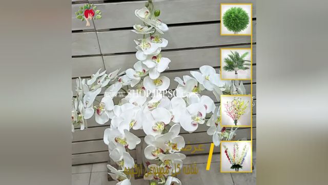 لیست گل مصنوعی ارکیده 5 شاخه | فروشگاه ملی