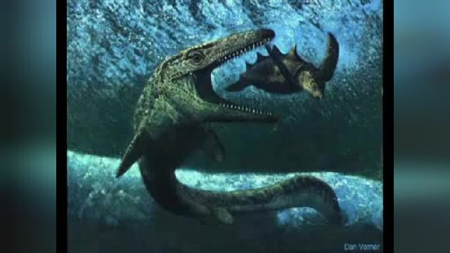 Florida Sea Monster Controversy