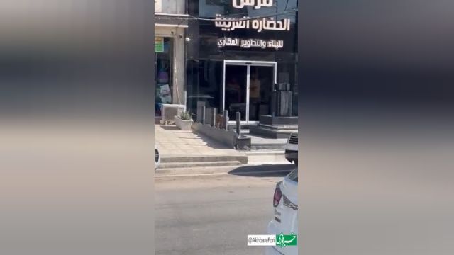 قدم زدن یوزپلنگ وحشی در خیابان‌های بغداد | ویدیو