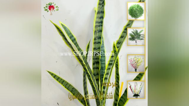 لیست شاخه گل مصنوعی سانسوریا سبز رنگ دارای 3 برگ درجه یک لمسی پخش از فروشگاه ملی