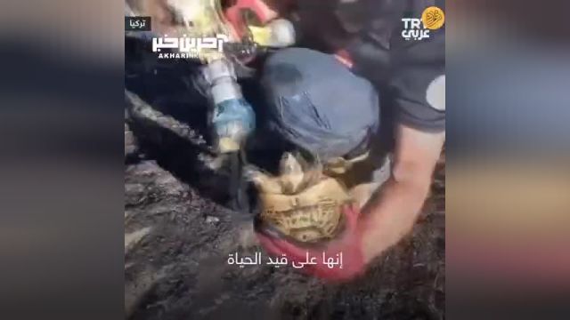 کلیپ عملیات نجات یک لاک‌پشت از میان شعله‌های آتش | ویدیو