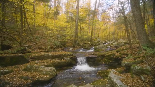 آبشارهای پاییزی در جنگل‌ های نیوانگلند | مناظر زیبای پاییزی و صداهای طبیعت