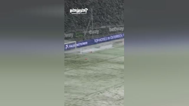 داستانی از گل‌هایی که می‌خواستند باشند، اما برف نگذاشت