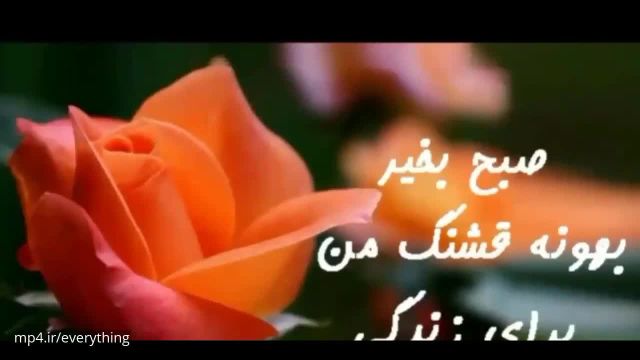 کلیپ عاشقانه - سلام صبح بخیر