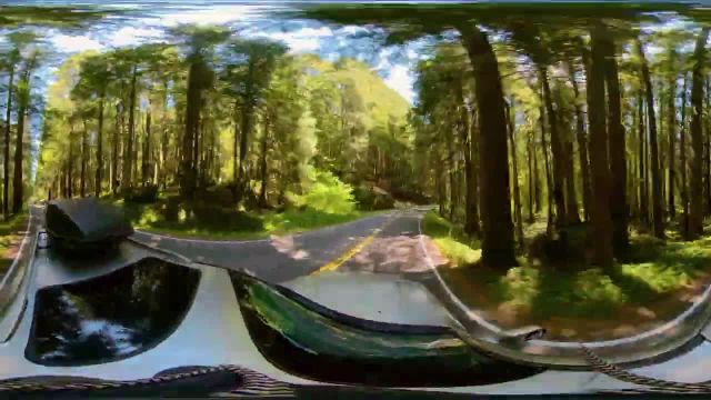 رانندگی در جاده های جنگلی کوه رینیر | رانندگی با منظره 360 درجه