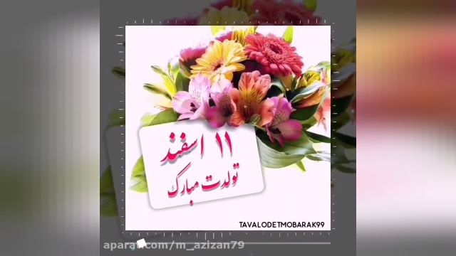 کلیپ تولدت مبارک 11 اسفند || کلیپ تولد برای استوری