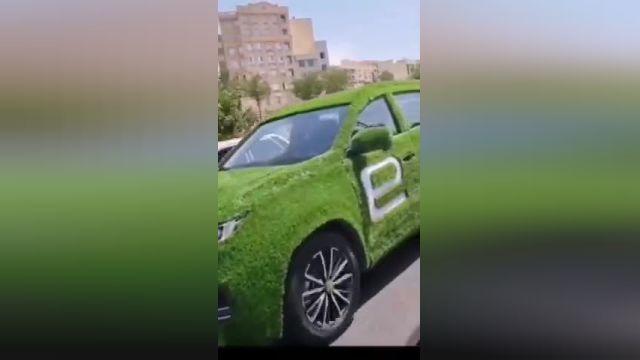 خودروی با پوشش با چمن مصنوعی در خیابان‌های تهران | ویدیو