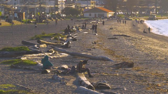 1 ساعت فیلم آرامش شهری با صداهای طبیعت | عصر بادی در ساحل الکی