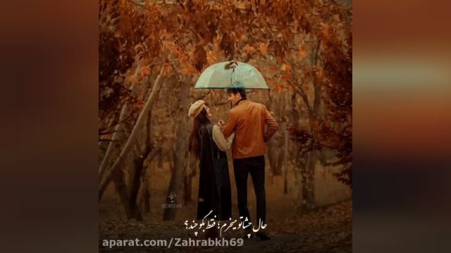 عاشقانه زیبا با صدای ناصر زینعلی