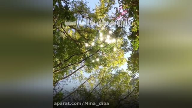 کلیپ دعای روز 13 بدر || آنقدر سیر بخندی که ندانی غم چیست