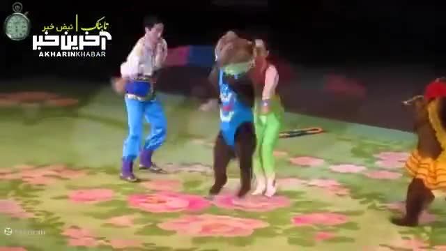 حرکات نمایشی خرس‌ های سیرک کره شمالی