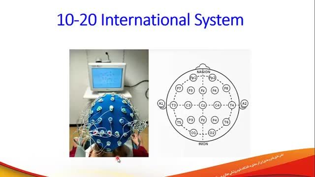 خواب و نوار مغزی (EEG and Sleep) | آموزش فیزیولوژی اعصاب | جلسه بیستم (2)