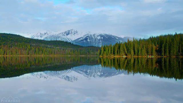 8 ساعت صدای باد و جیک جیک پرندگان | طبیعت بکر دریاچه هرم، کانادا