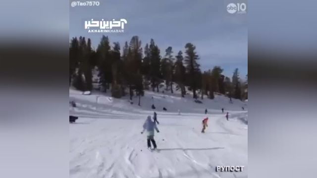 یک خرس گریزلی با عبور از پیست اسکی، اسکی بازان را غافلگیر کرد