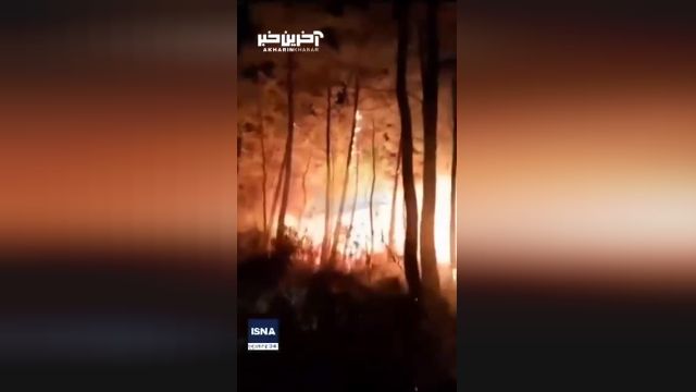 گسترش آتش‌سوزی‌های جنگلی در ترکیه