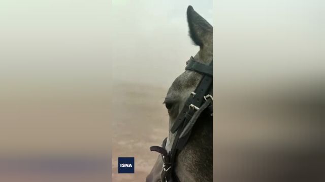 گرد و خاک تالاب صالحیه اینگونه هوای تهران و کرج را آلوده میکند