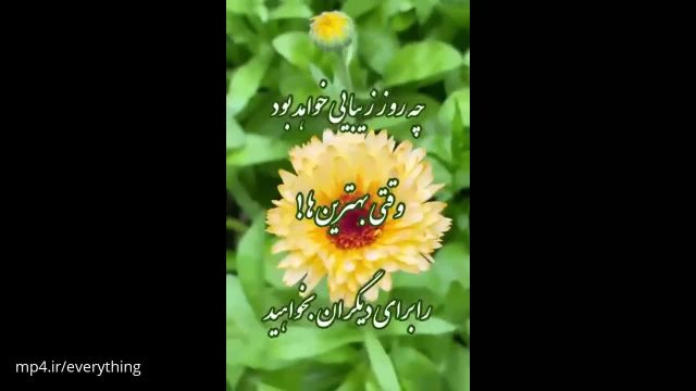 دانلود || کلیپ کوتاه || صبح بخیر برای استوری