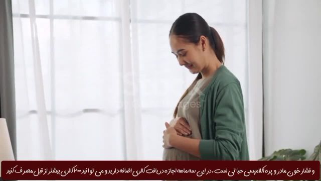 اصول تغذیه‌ ای سه ماهه سوم بارداری | غذاهای مفید و مضر برای جنین در سه ماهه سوم بارداری!