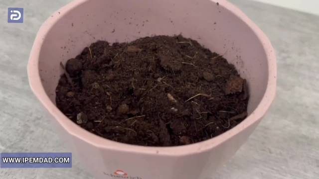 افزایش کیفیت خاک گلدان با فر اجاق گاز!