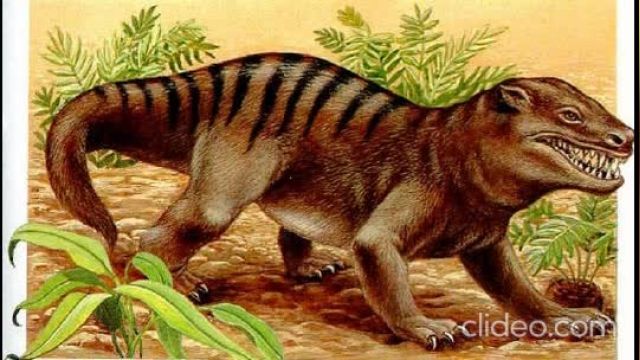 کاینوگناتوس (Cynognathus)