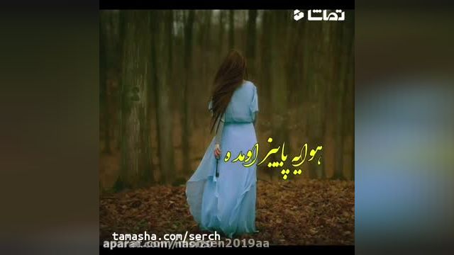 کلیپ بسیار زیبای عاشقانه با آهنگ محسن یگانه