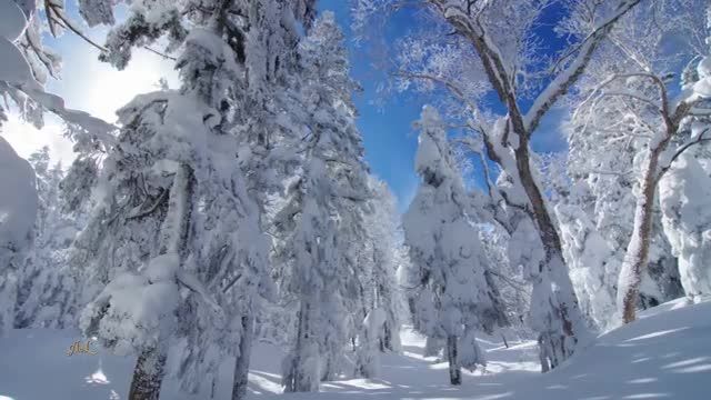 طبیعت زمستان | تصاویر زمستانی را ببینید و لذت ببرید!