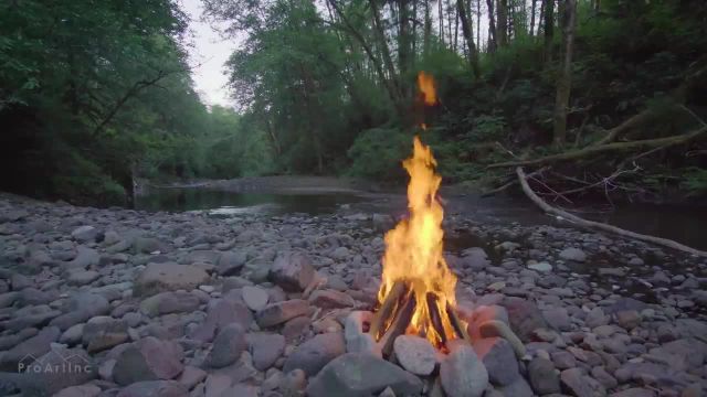 آتش در کنار رودخانه | 8 ساعت منظره آتش کمپ در طبیعت با آواز پرندگان | قسمت 1