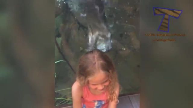 کلیپ با مزه بازی دختر بچه با حیوانات در باغ وحش