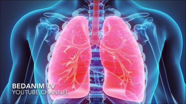 عوامل از کار افتادن ریه چیست؟ | علائمی که نشان میدهند ریه به خوبی کار نمیکند!