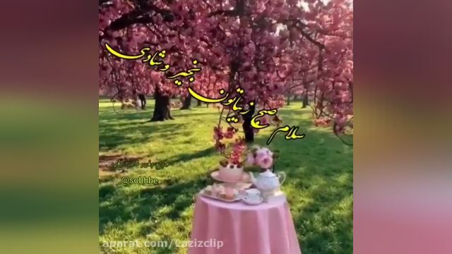 کلیپ صبح بخیر انگیزشی || کلیپ کوتاه برای استوری