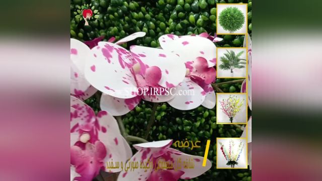 لیست شاخه گل مصنوعی ارکیده 7 گل لمسی| فروشگاه ملی