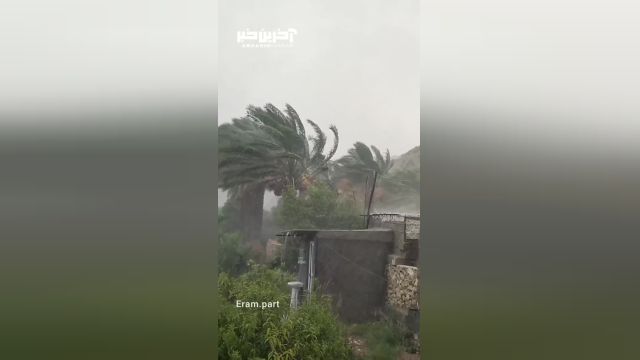 کلیپ بارش عجیب باران در بوشهر