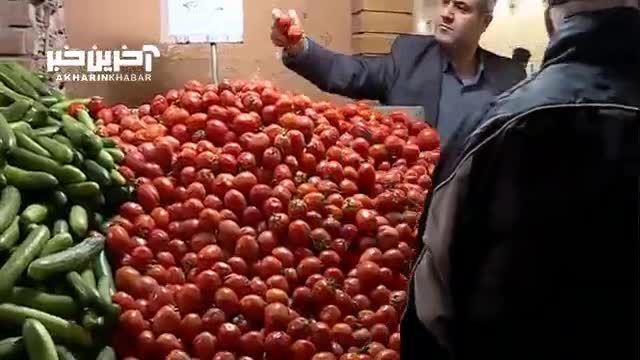 آخرین تغییرات قیمتی گوجه فرنگی