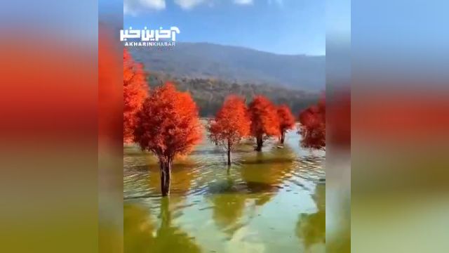 دریاچه زیبای الندان کیاسر در استان مازندران