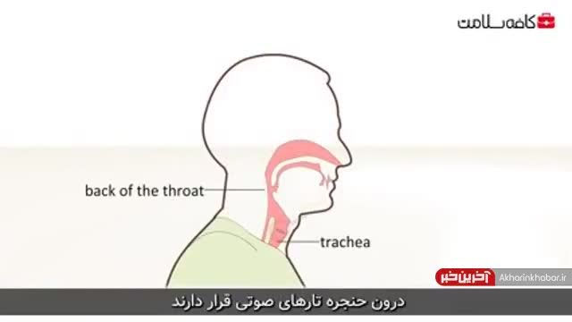 درمان سریع و خانگی گلو درد سرماخوردگی در بزرگسالان | ویدیو