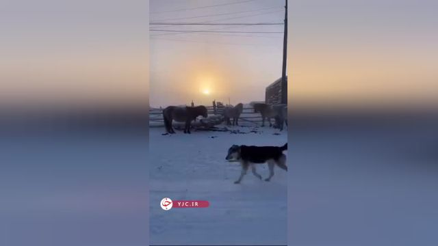 زندگی در در دمای 75- درجه  در جمهوری یاقوتستان روسیه | ویدیو