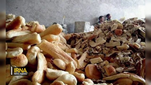 چرا نان مردم خراسان شمالی در دامداری‌ ها مصرف میشود؟