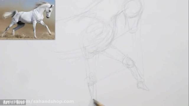 آموزش طراحی اسب با مداد/طراحی حرفه ای