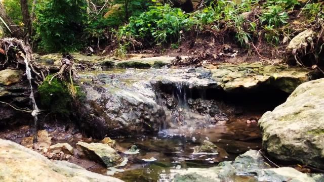 صدای جریان ملایم آب | صداهای آرامش بخش رودخانه جنگل برای خواب، مطالعه و مدیتیشن
