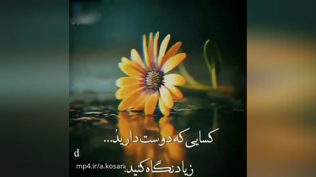 کلیپ دکلمه عاشقانه جدید برای وضعیت