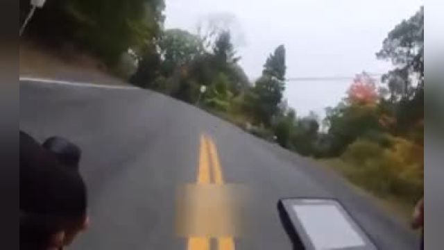 فیلم تصادف یک موتورسیکلت با یک گوزن وسط یک جاده جنگلی