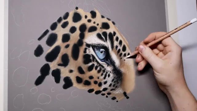 آموزش نقاشی آسان یوزپلنگ : ترسیم سریع و آسان یوزپلنگ