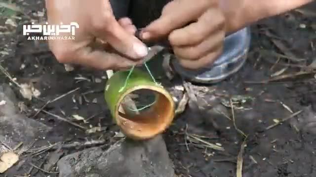 ببینید این مرد تایلندی چگونه برای به دام انداختن موش‌ ها تله می‌ سازد