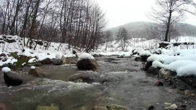 ویدیوی 30 ثانیه ای طبیعت دل انگیز برای استوری اینستاگرام با آهنگ آرامش بخش