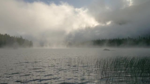 صدای آواز پرندگان و صدای آب | 10 ساعت دریاچه و کوه با صدای طبیعت